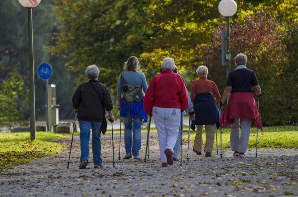 Quelle: Bild von Mario Ohibsky auf Pixabay Eine Gruppe Senioren macht Nordic Walking in der Natur.